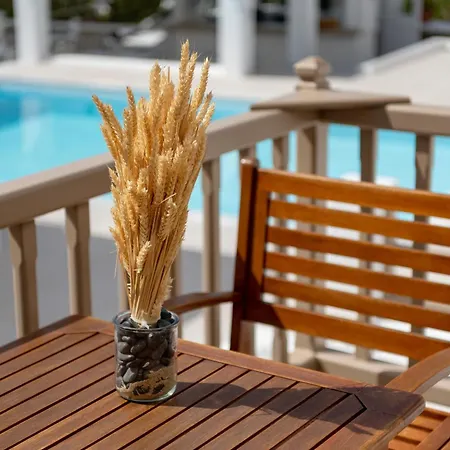 ليثوز باي سبيروس&فلورا 4*