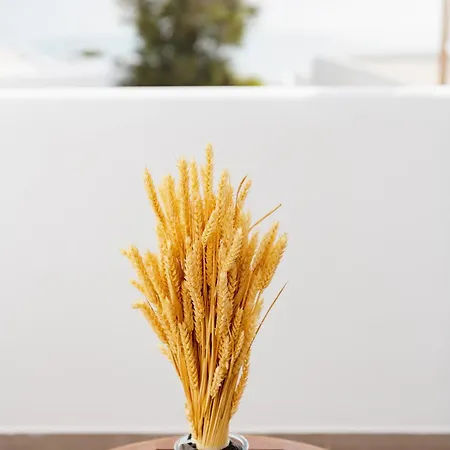 リソス バイ スピロス&フローラ 4*