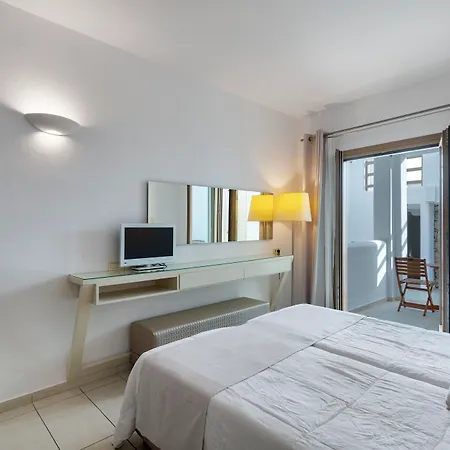 ليثوز باي سبيروس&فلورا