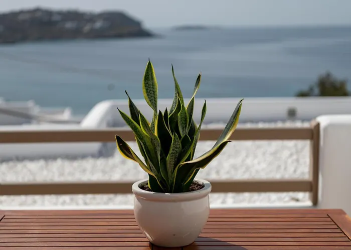 Lithos By Spyros & Flora 4* Agios Ioannis Diakoftis