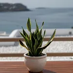 リソス バイ スピロス&フローラ 4* Agios Ioannis Diakoftis