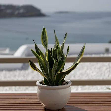 Lithos By Spyros & Flora 4* Agios Ioannis Diakoftis