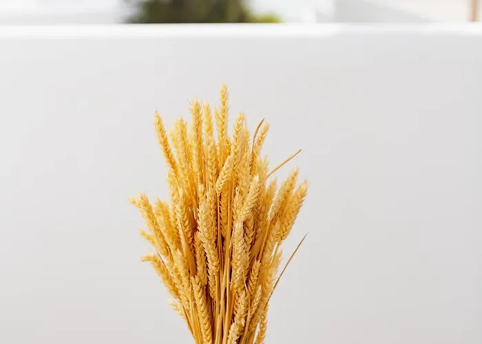 斯派罗斯&弗洛拉力托斯酒店 4*